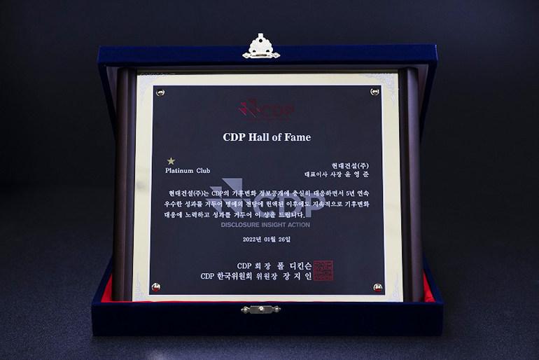 Image of CDP Platinum Club Plaque